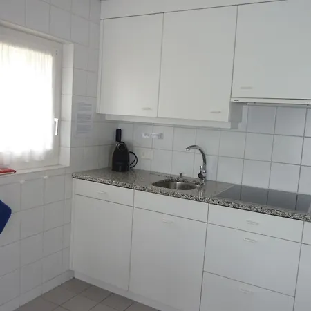 Suzanne Nr- 18 Appartement-fewo- Dusche Oder Bad- Wc 5-bettwohnung By Interhome Saanen